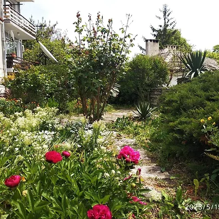 Apartment деспина Balchik